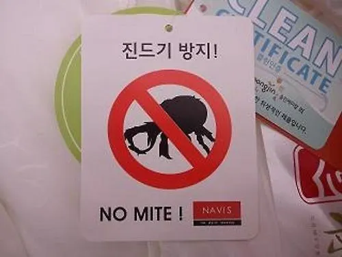 Cheonggye Haus Hostel Seoul South Korea